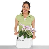 Фото Умный вазон Lechuza Delta 10 2 л фиолетовый 15465