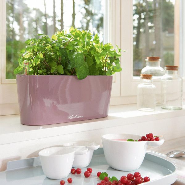 Умный вазон Lechuza Delta 10 2 л фиолетовый 15465