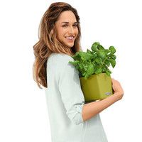 Умный вазон Lechuza Cube Color 16 1,75 л белый 13580