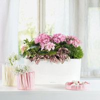 Умный вазон Lechuza Delta 20 5 л фиолетовый 15572