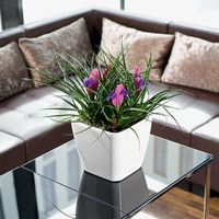 Умный вазон Lechuza Quadro Premium LS 21 4 л коричневый 16121