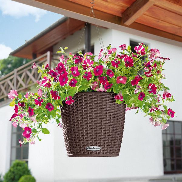 Умный вазон Lechuza Nido Cottage 27 6 л белый 15190