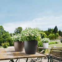 Умный вазон Lechuza Classico Color 28 9 л белый 13190