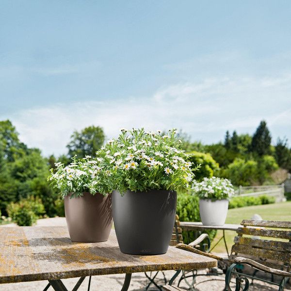 Умный вазон Lechuza Classico Color 28 9 л коричневый 13203