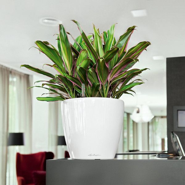 Умный вазон Lechuza Classico Premium LS 28 6,7 л коричневый 16041