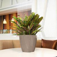 Умный вазон Lechuza Classico Premium LS 28 6,7 л коричневый 16041