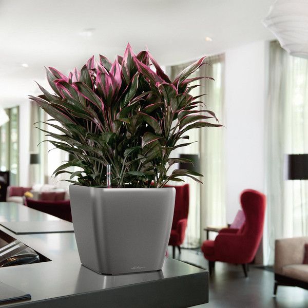 Умный вазон Lechuza Quadro Premium LS 28 8,5 л коричневый 16141