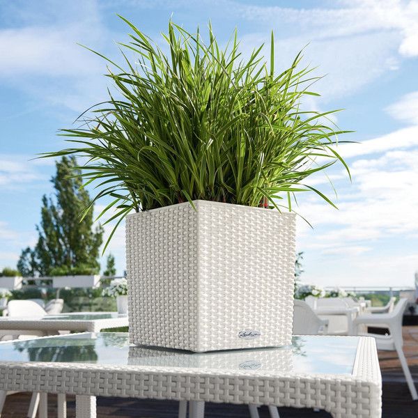 Умный вазон Lechuza Cube Cottage 30 12 л белый 15376