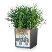 Умный вазон Lechuza Cube Cottage 30 12 л белый 15376