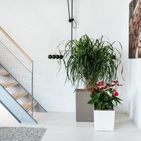 Умный вазон Lechuza Cubе Premium 30 12 л коричневый 16461