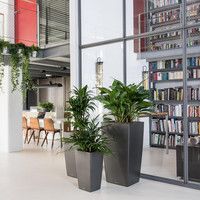 Умный вазон Lechuza Cubico Premium 30 14 л серый 18184