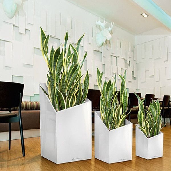 Умный вазон Lechuza Cursivo Premium 30 12 л белый 16600