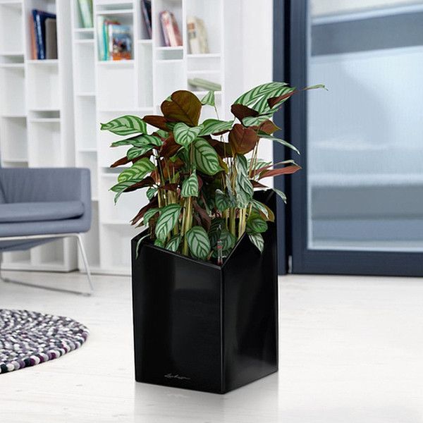 Умный вазон Lechuza Cursivo Premium 30 12 л белый 16600