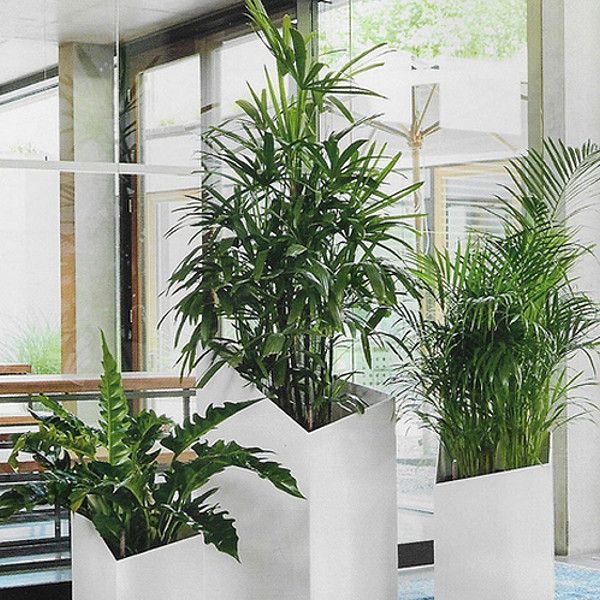 Умный вазон Lechuza Cursivo Premium 30 12 л белый 16600