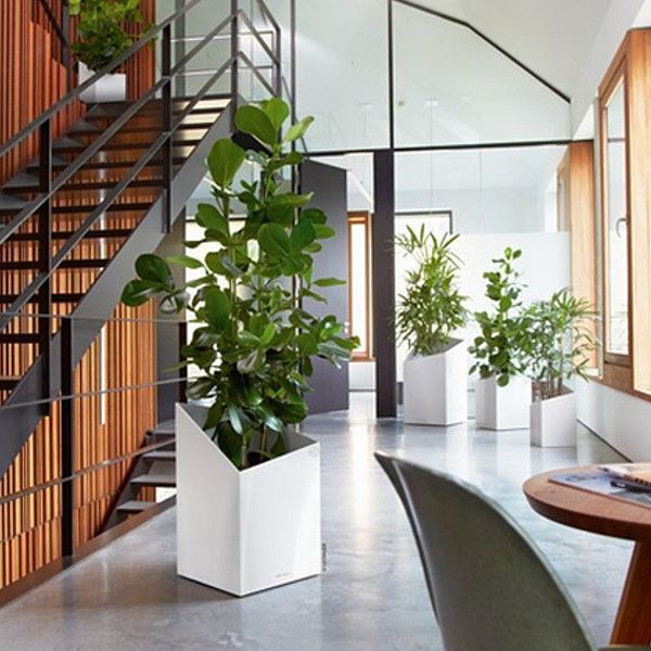 Умный вазон Lechuza Cursivo Premium 30 12 л белый 16600