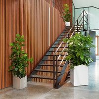 Умный вазон Lechuza Cursivo Premium 30 12 л белый 16600