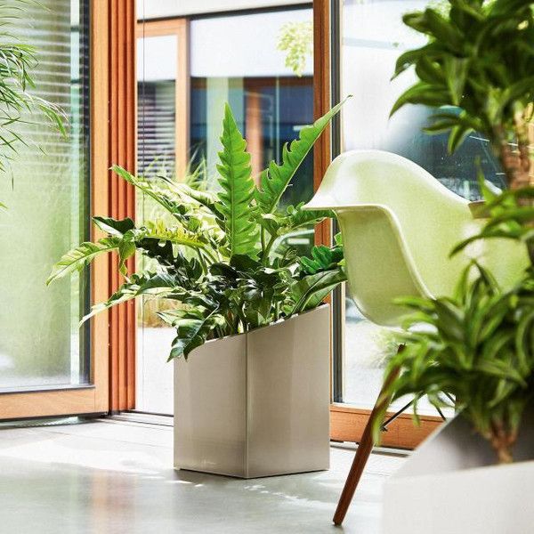 Умный вазон Lechuza Cursivo Premium 30 12 л коричневый 16604