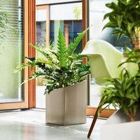 Фото Умный вазон Lechuza Cursivo Premium 30 12 л коричневый 16604