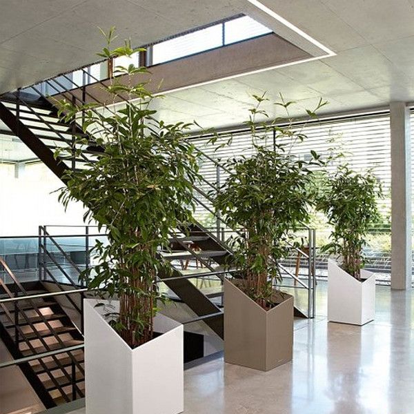 Умный вазон Lechuza Cursivo Premium 30 12 л коричневый 16604