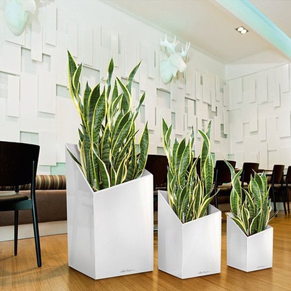 Умный вазон Lechuza Cursivo Premium 30 12 л коричневый 16604