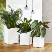 Умный вазон Lechuza Cursivo Premium 30 12 л коричневый 16604