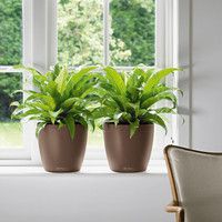 Умный вазон Lechuza Classico Color 35 17 л белый 13210