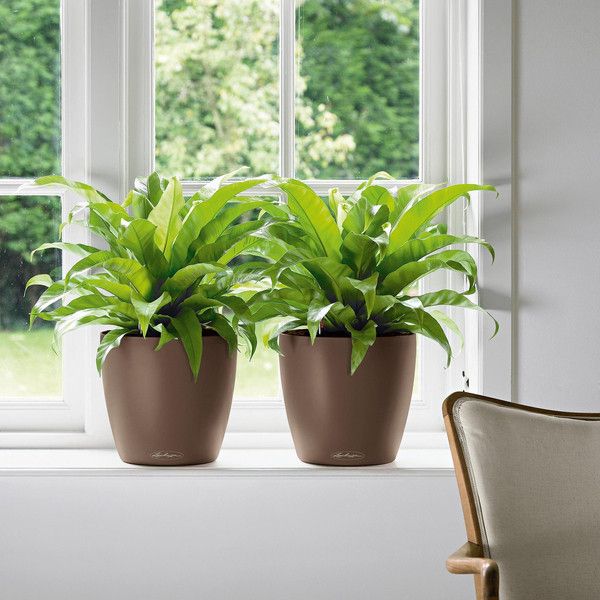 Умный вазон Lechuza Classico Color 35 17 л коричневый 13223