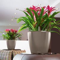 Умный вазон Lechuza Classico Premium LS 35 13,2 л коричневый 16061