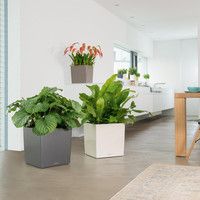 Умный вазон Lechuza Cube Premium 40 31 л белый 16360