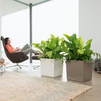 Умный вазон Lechuza Cube Premium 40 31 л серый 16363