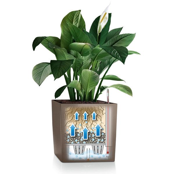 Умный вазон Lechuza Cube Premium 40 31 л серый 16363