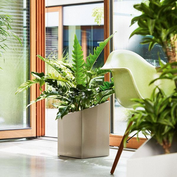 Умный вазон Lechuza Cursivo Premium 40 31 л коричневый 16624