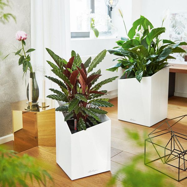 Умный вазон Lechuza Cursivo Premium 40 31 л коричневый 16624