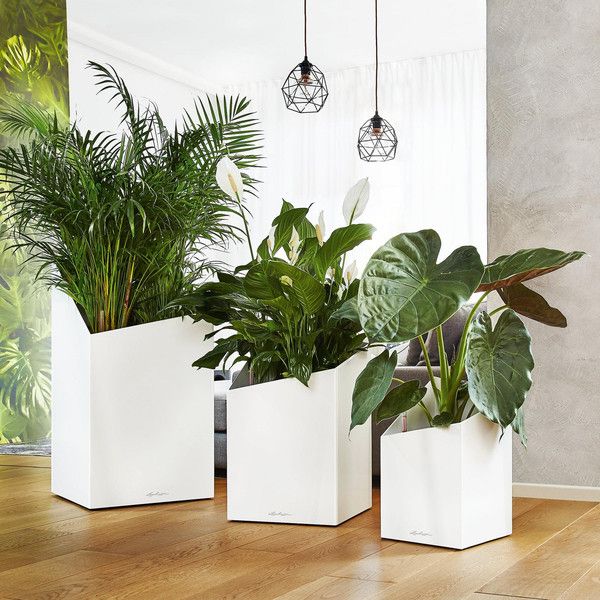 Умный вазон Lechuza Cursivo Premium 40 31 л коричневый 16624