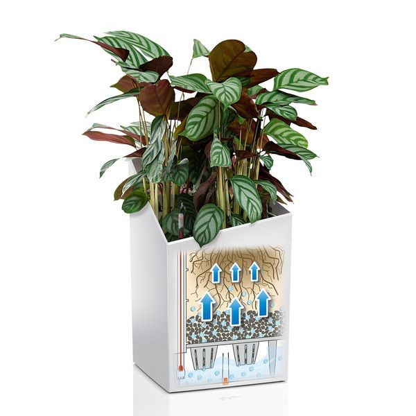 Умный вазон Lechuza Cursivo Premium 40 31 л коричневый 16624