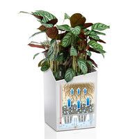 Умный вазон Lechuza Cursivo Premium 40 31 л коричневый 16624