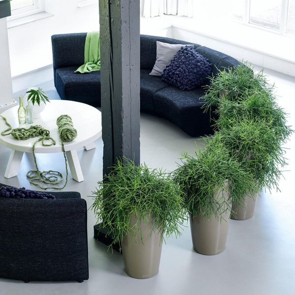 Умный вазон Lechuza Rondo Premium 40 22 л черный 15749