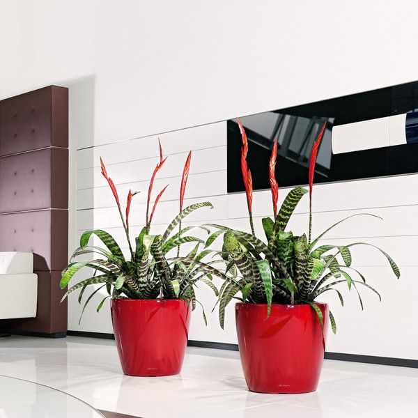 Умный вазон Lechuza Classico Premium LS 43 27,9 л коричневый 16081