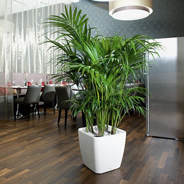 Умный вазон Lechuza Quadro Premium LS 43 31,9 л серый 16183