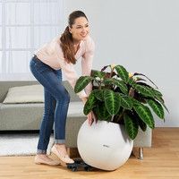 Умный вазон Lechuza Puro Color 50 13 л серый 13344