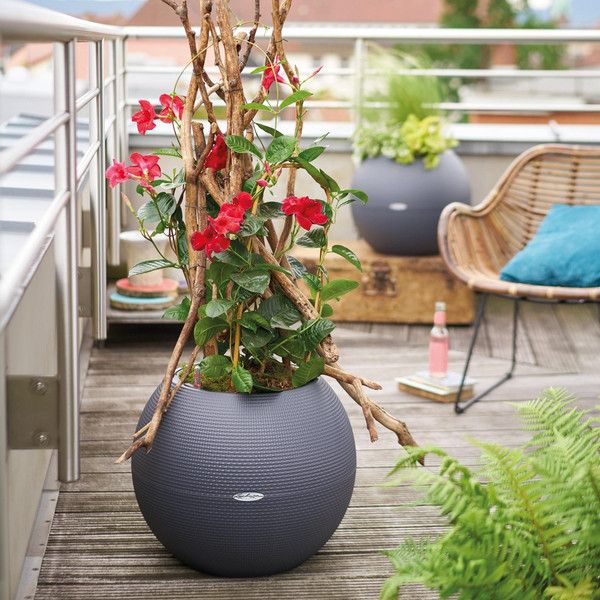 Умный вазон Lechuza Puro Color 50 13 л серый 13344