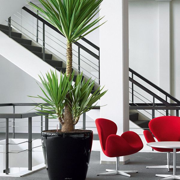 Умный вазон Lechuza Classico 60 90 л серый 14503