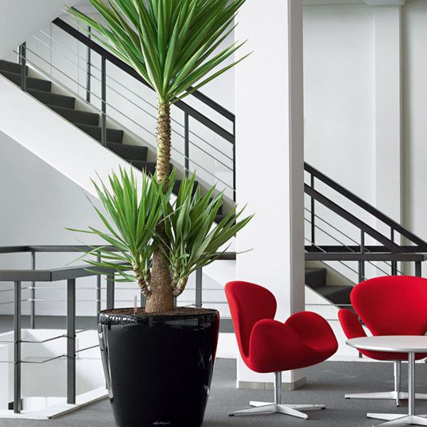 Умный вазон Lechuza Classico 60 90 л черный 14509