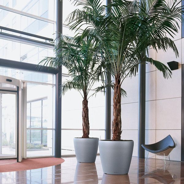 Умный вазон Lechuza Classico 70 145 л коричневый 14627