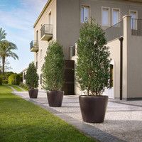 Умный вазон Lechuza Classico 70 145 л коричневый 14627