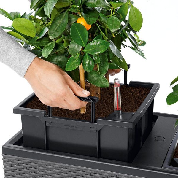 Умный вазон Lechuza Trio Cottage 30 42 л серый 15003