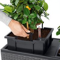 Фото Умный вазон Lechuza Trio Cottage 30 42 л серый 15003