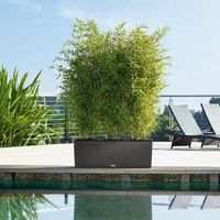 Умный вазон Lechuza Trio Cottage 30 42 л серый 15003