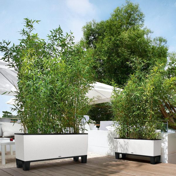 Умный вазон Lechuza Trio Cottage 30 42 л серый 15003