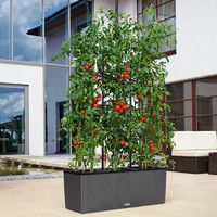 Решетка для Lechuza Trio Cottage 40 15031